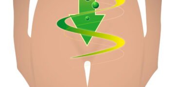 Turbine sua imunidade e renove sua flora intestinal com os melhores alimentos para o corpo