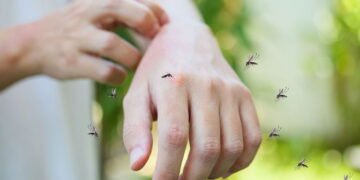 Diga adeus aos mosquitos com esse truque natural e eficaz