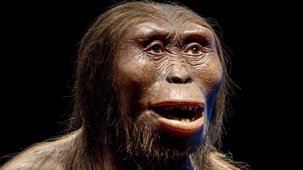 Créditos: depositphotos.com / izanbar