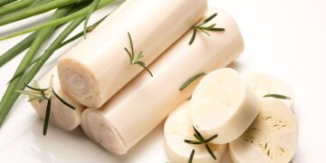 Aprenda como plantar palmito pupunha e transformar seu terreno em lucro