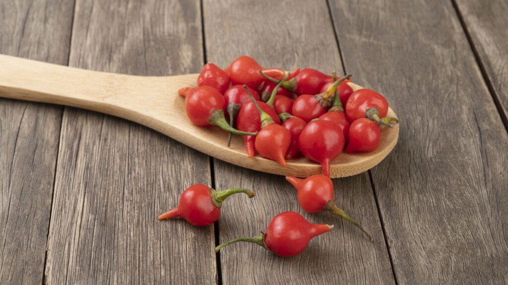 Dicas para cultivar pimenta biquinho em casa sem agrotóxicos