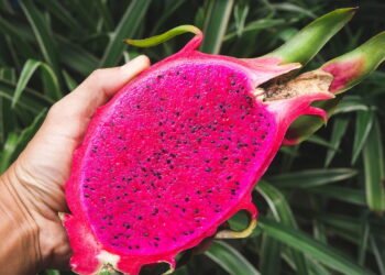 Pitaya é a fruta exótica que pode te ajudar a emagrecer com sabor e saúde