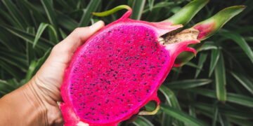 Pitaya é a fruta exótica que pode te ajudar a emagrecer com sabor e saúde