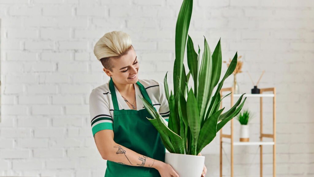 Estas plantas deixam o ar da sua casa mais limpo e saudável