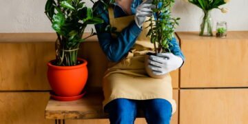 Aprenda como cultivar a melhor planta para atrair boas energias para sua casa