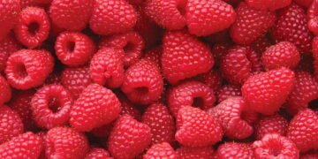 Framboesa é o superalimento ideal para perder peso e ganhar saúde