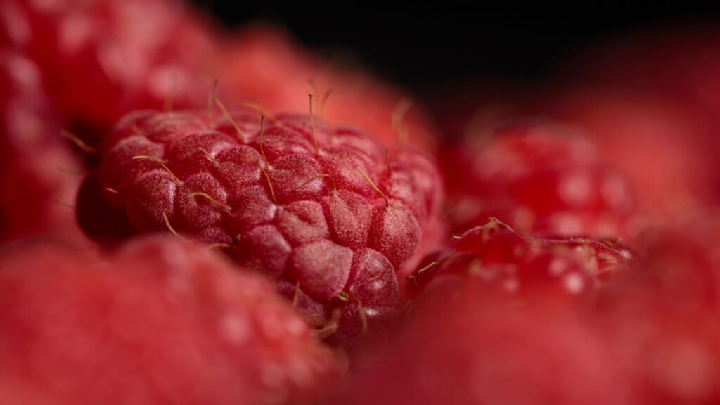 Framboesa é o superalimento ideal para perder peso e ganhar saúde