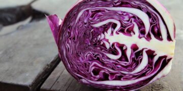 Como cultivar repolho roxo em casa com resultado profissional