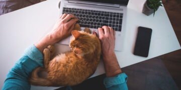 Trabalho remoto virou tendência e estas cidades brasileiras são as favoritas