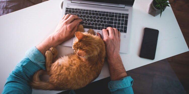 Trabalho remoto virou tendência e estas cidades brasileiras são as favoritas