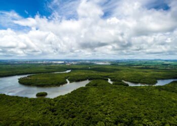 Você sabia que existe um rio subterrâneo fluindo sob o Rio Amazonas?