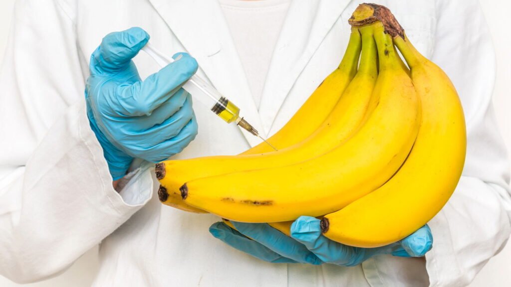 Você sabia que o DNA humano e o das bananas têm mais em comum do que parece?