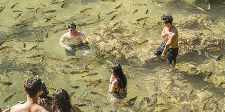 Suas férias de julho podem ser muito mais especiais com esses roteiros incríveis