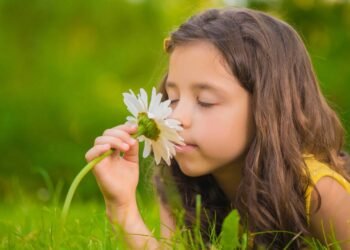 Criança deitada na grama cheirando flor descontraidamente
