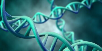 Você sabia que o DNA humano e o das bananas têm mais em comum do que parece?