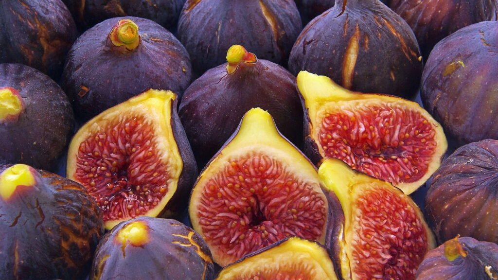 Figo em casa é o cultivo mais fácil e saboroso para iniciantes