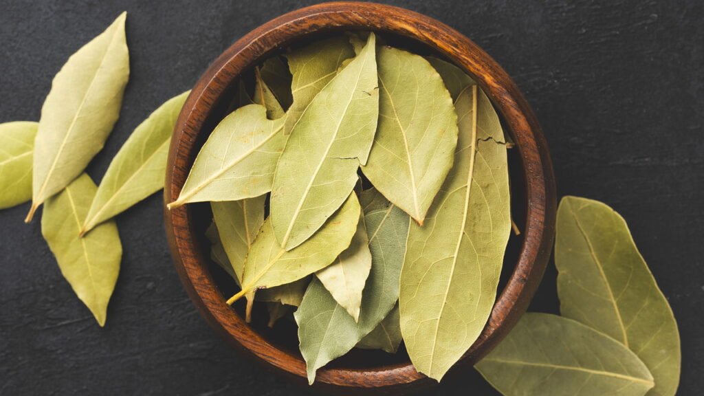 5 maneiras poderosas de usar louro para proteção e equilíbrio