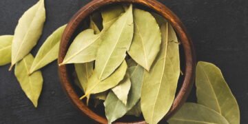 5 maneiras poderosas de usar louro para proteção e equilíbrio