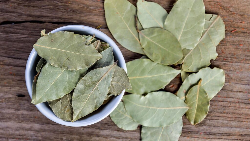 5 maneiras poderosas de usar louro para proteção e equilíbrio