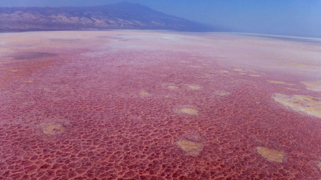 Você sabia que existe um lago tão salgado que nenhum ser vivo sobrevive nele?