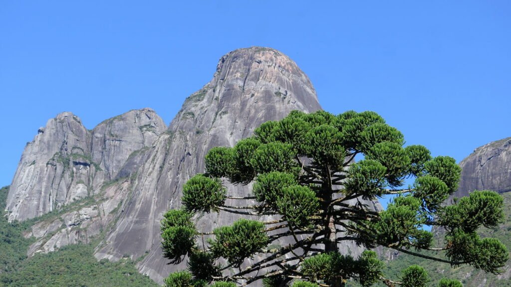 Essa cidade do interior é conhecida como a Suíça brasileira