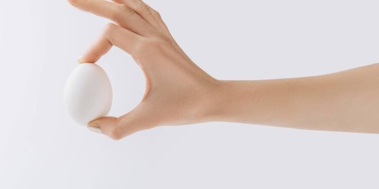 Pessoa segurando um ovo de galinha