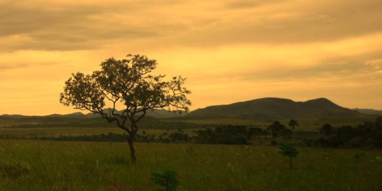 Existe um lugar em Goiás onde a natureza e o misticismo se encontram