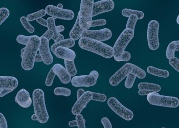 Essas bactérias consomem plástico e transforma em energia limpa em menos de 48 horas