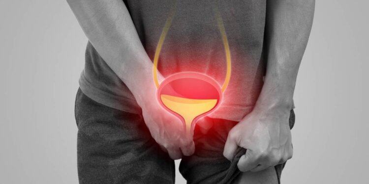 Representação 3d de homem com a bexiga cheia