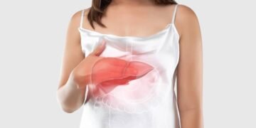 Representação 3d de um fígada destacado a frente do corpo de uma mulher