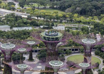 Como as "Supertrees" estão reinventando o conceito de cidade verde nesse destino