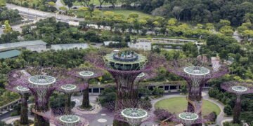 Como as "Supertrees" estão reinventando o conceito de cidade verde nesse destino