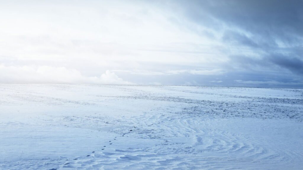 Você sabia que já nevou em um dos desertos mais quentes do planeta?