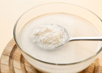 Como a água de arroz fermentada pode turbinar o crescimento de suas plantas