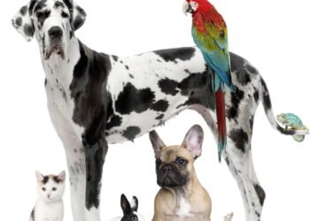 Diminuir sua ansiedade