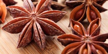 A fruta em forma de estrela que poucos sabem plantar em casa