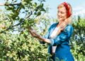 Você sabia que existe uma árvore capaz de produzir até 40 frutas diferentes ao mesmo tempo?