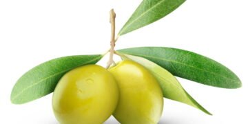 O alimento mais completo para olhos, coração e glicemia