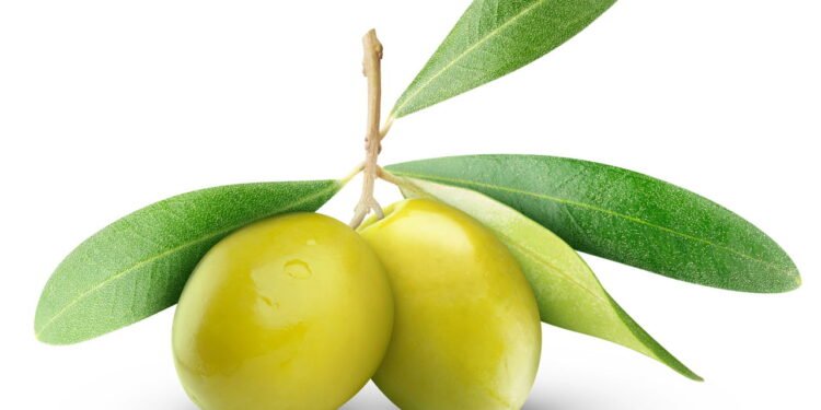 Azeitona (Créditos: depositphotos.com / photomaru)