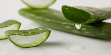 Essa bebida feita com babosa pode surpreender você