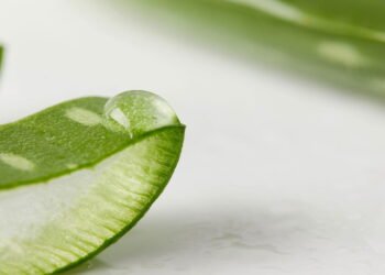 O segredo do sabonete de babosa que virou tendência no autocuidado