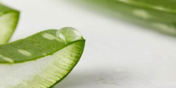 O segredo do sabonete de babosa que virou tendência no autocuidado