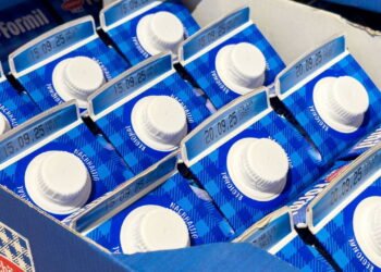 Artesanato com caixas de leite é a solução criativa mais sustentável