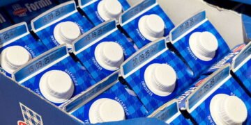 Artesanato com caixas de leite é a solução criativa mais sustentável