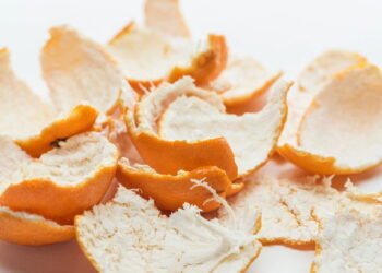 Como usar cascas de frutas para criar um fertilizante líquido caseiro poderoso