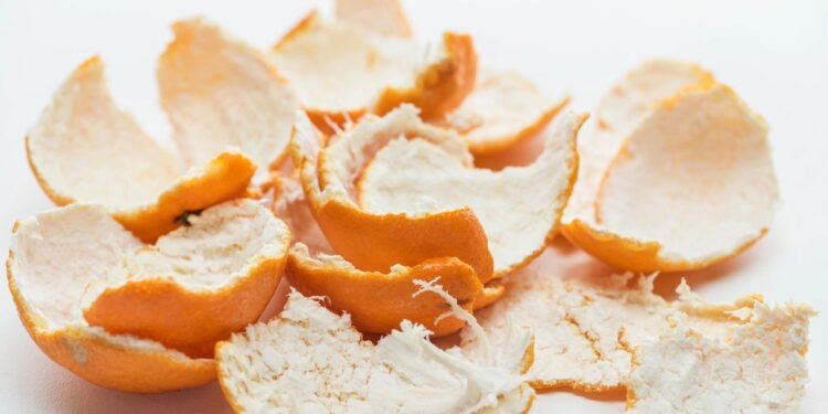 Como usar cascas de frutas para criar um fertilizante líquido caseiro poderoso