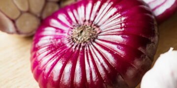 Plantar cebola roxa pode mudar seu jeito de cozinhar e viver