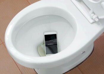 Seu celular caiu na água? O que vem agora pode te salvar