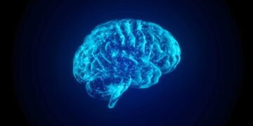 Você vai ver uma coisa, mas o seu cérebro vai entender outra