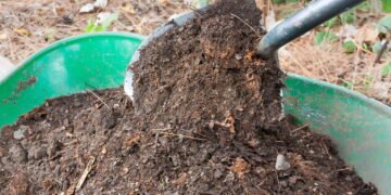 O truque simples que transforma o lixo em adubo potente